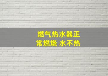 燃气热水器正常燃烧 水不热